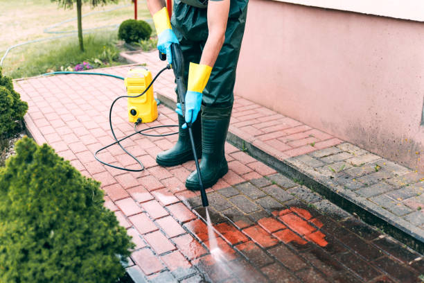 Best Fence Cleaning  in Farr West, UT